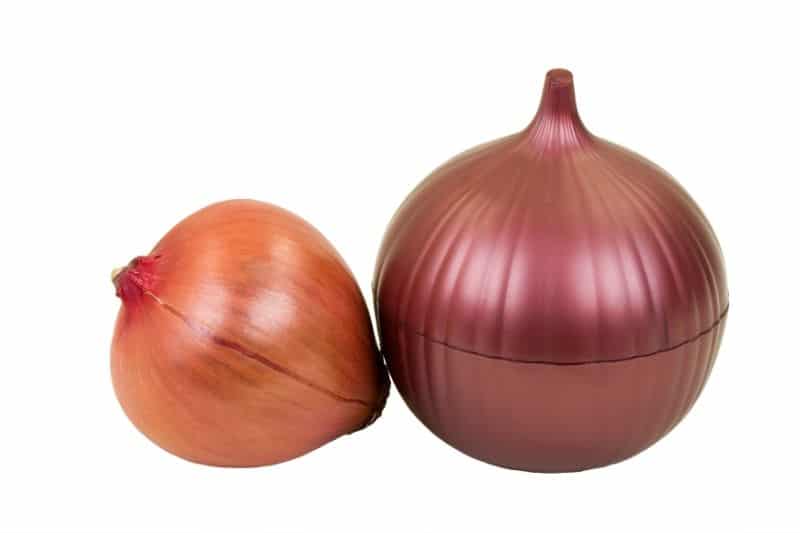 Onion and onion keeper in white background