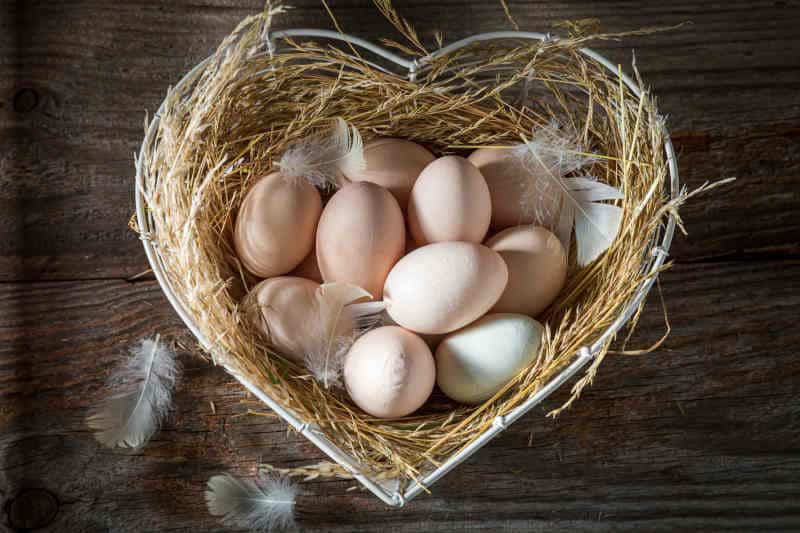 Closeup of healthy eggs from the farm.