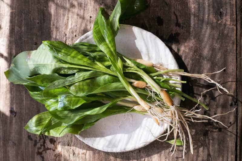 Organic raw ramps on a plate