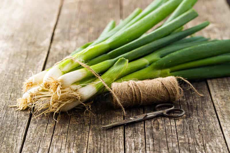 Green spring onions on old wooden table.