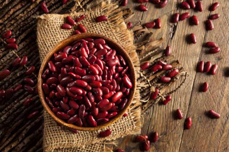 Raw Red Organic Kidney Beans in a Bowl