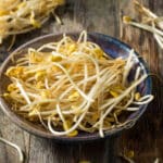 Raw White Organic Bean Sprouts in a Bowl