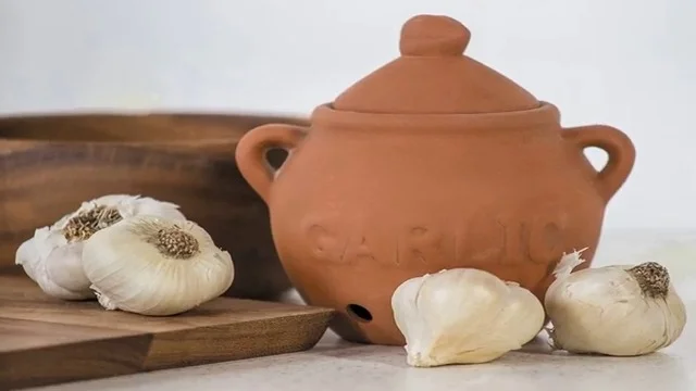 Garlics kept beside garlic keeper