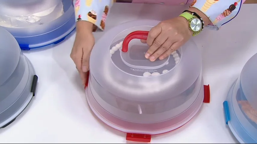 Woman putting cake into a cake carrier
