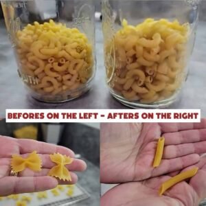 Can You Dehydrate Noodles