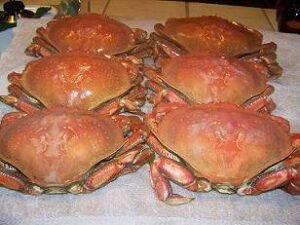 Can You Freeze Uncooked Crab