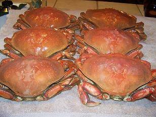 Can You Freeze Uncooked Crab
